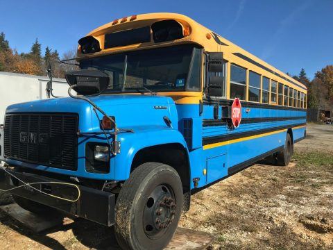 2001 Blue Bird School Bus for sale