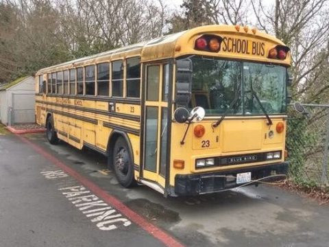 2000 Blue Bird 52 Passenger School Bus Starts-Needs a Transmission Good Tires for sale